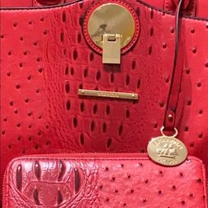 Brahmin Purse and wallet